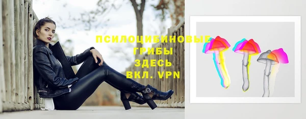 дмт Аркадак