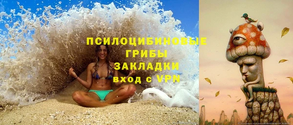 ПСИЛОЦИБИНОВЫЕ ГРИБЫ Балашиха