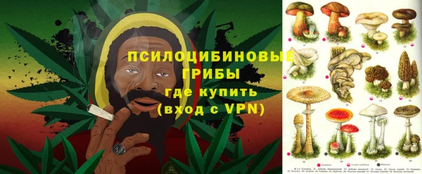 дмт Аркадак