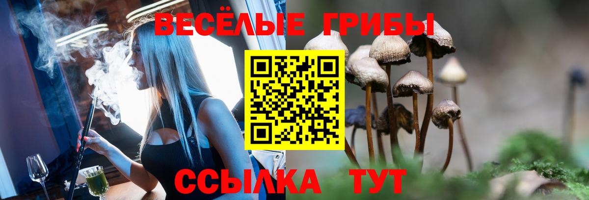 Псилоцибиновые грибы мицелий  Кисловодск 